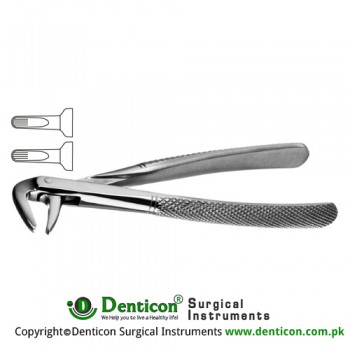 Guy's English Pattern Tooth Extracting Forcep Fig. 137 (For Lower Centrals and Roots) Stainless Steel, Standard
